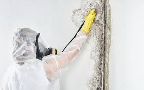 Best Mold Removal for HVAC Installations  in Poplar Cotton Center, CA